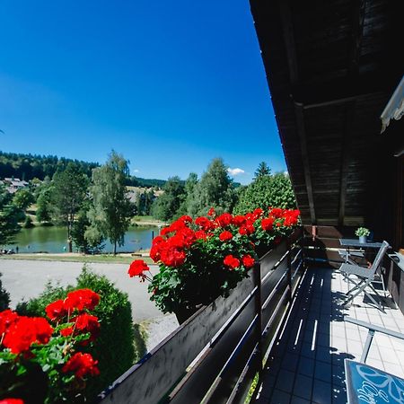 Ferienwohnungen Am Skilift Herrischried エクステリア 写真