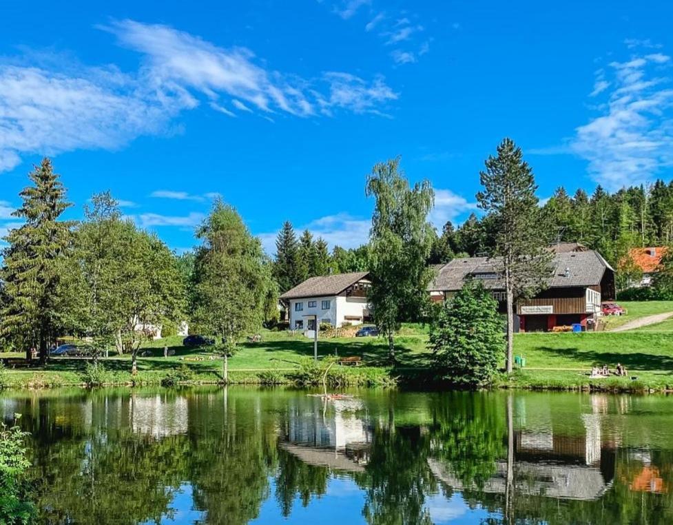 Ferienwohnungen Am Skilift Herrischried エクステリア 写真