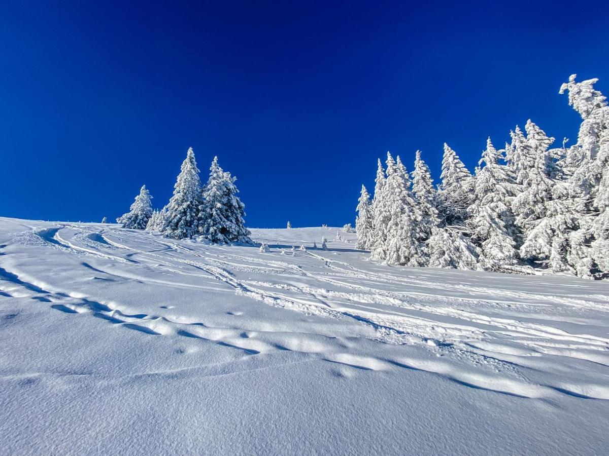 Ferienwohnungen Am Skilift Herrischried エクステリア 写真