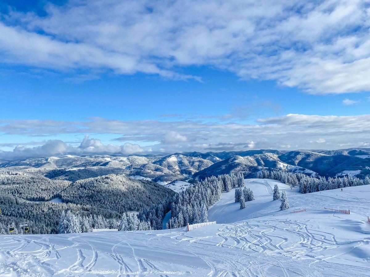 Ferienwohnungen Am Skilift Herrischried エクステリア 写真