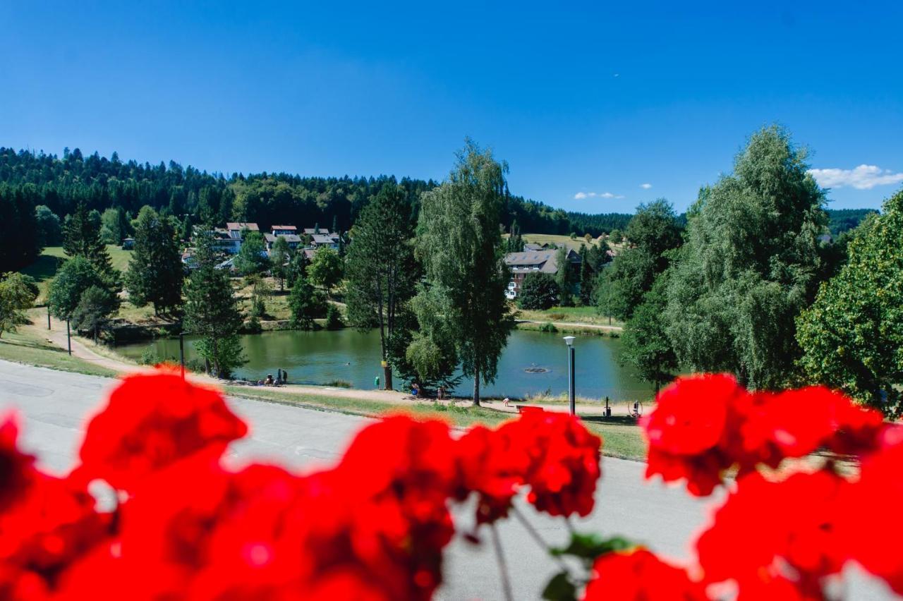 Ferienwohnungen Am Skilift Herrischried エクステリア 写真