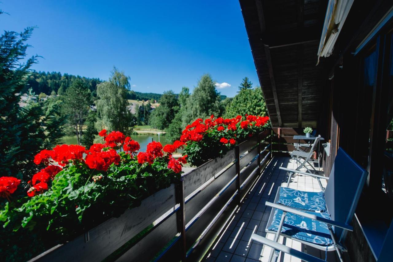 Ferienwohnungen Am Skilift Herrischried エクステリア 写真