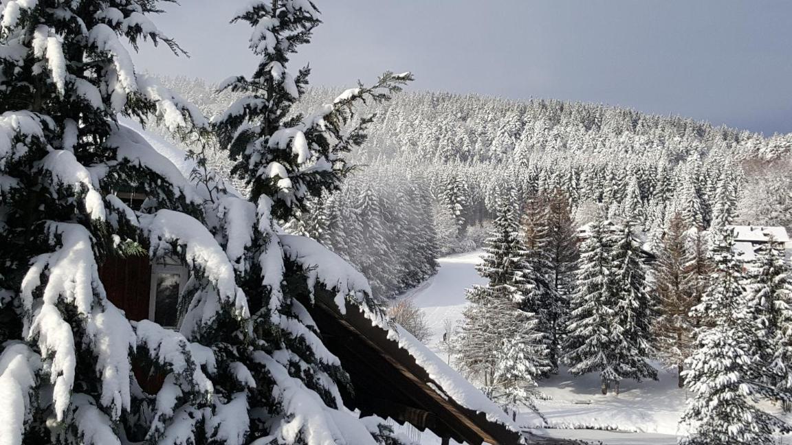 Ferienwohnungen Am Skilift Herrischried エクステリア 写真