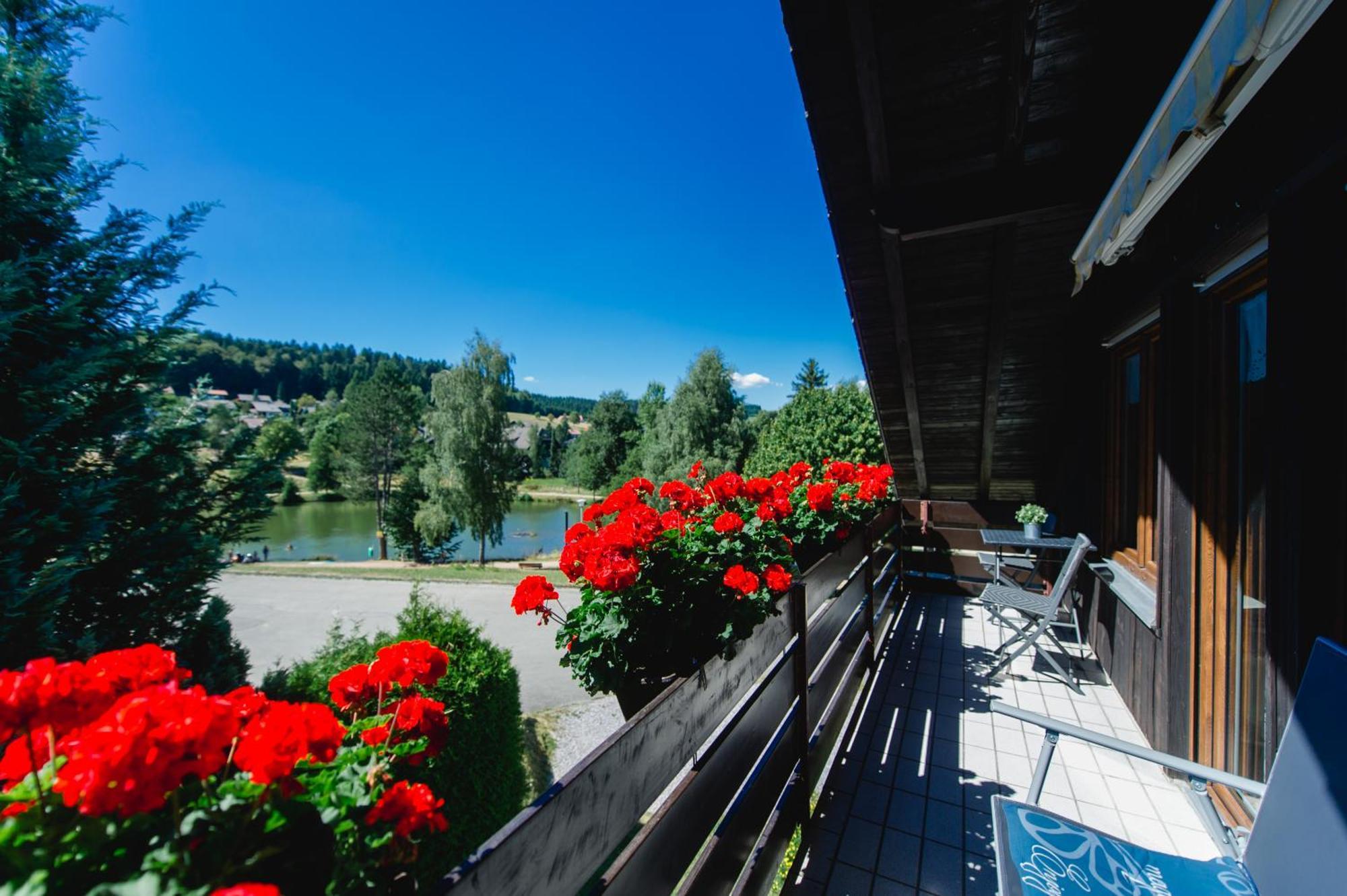 Ferienwohnungen Am Skilift Herrischried エクステリア 写真