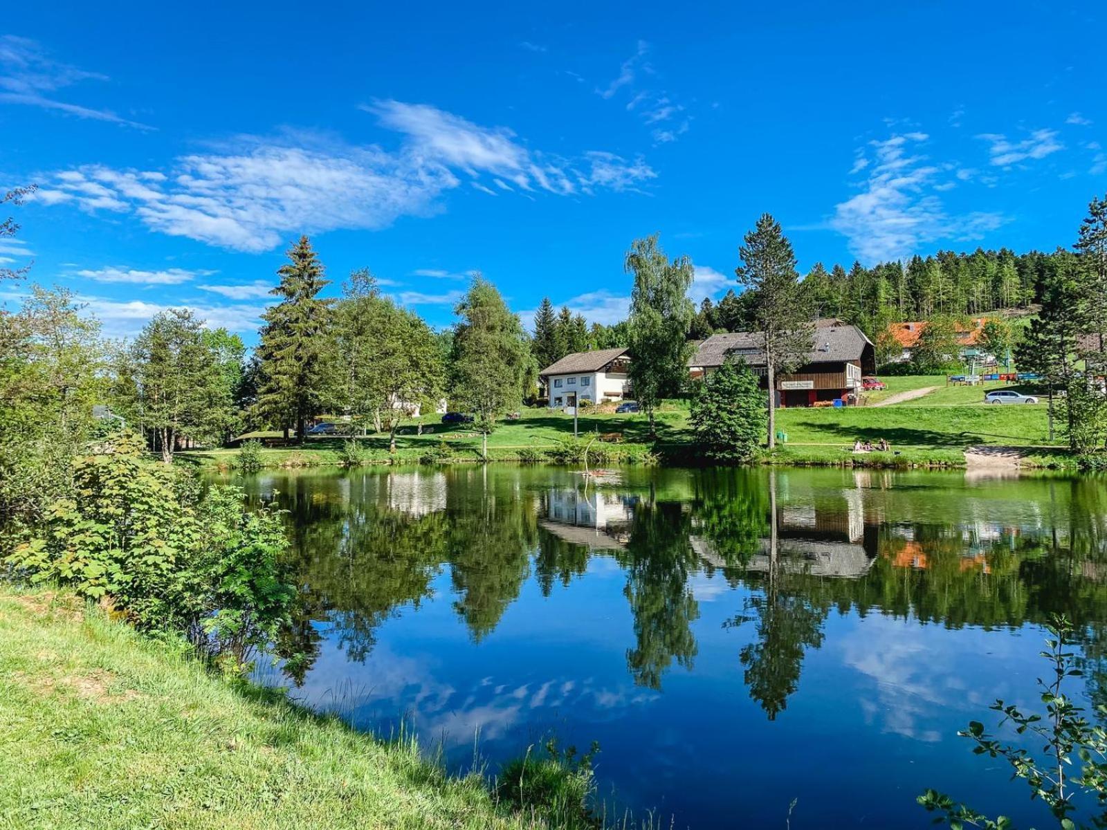 Ferienwohnungen Am Skilift Herrischried エクステリア 写真
