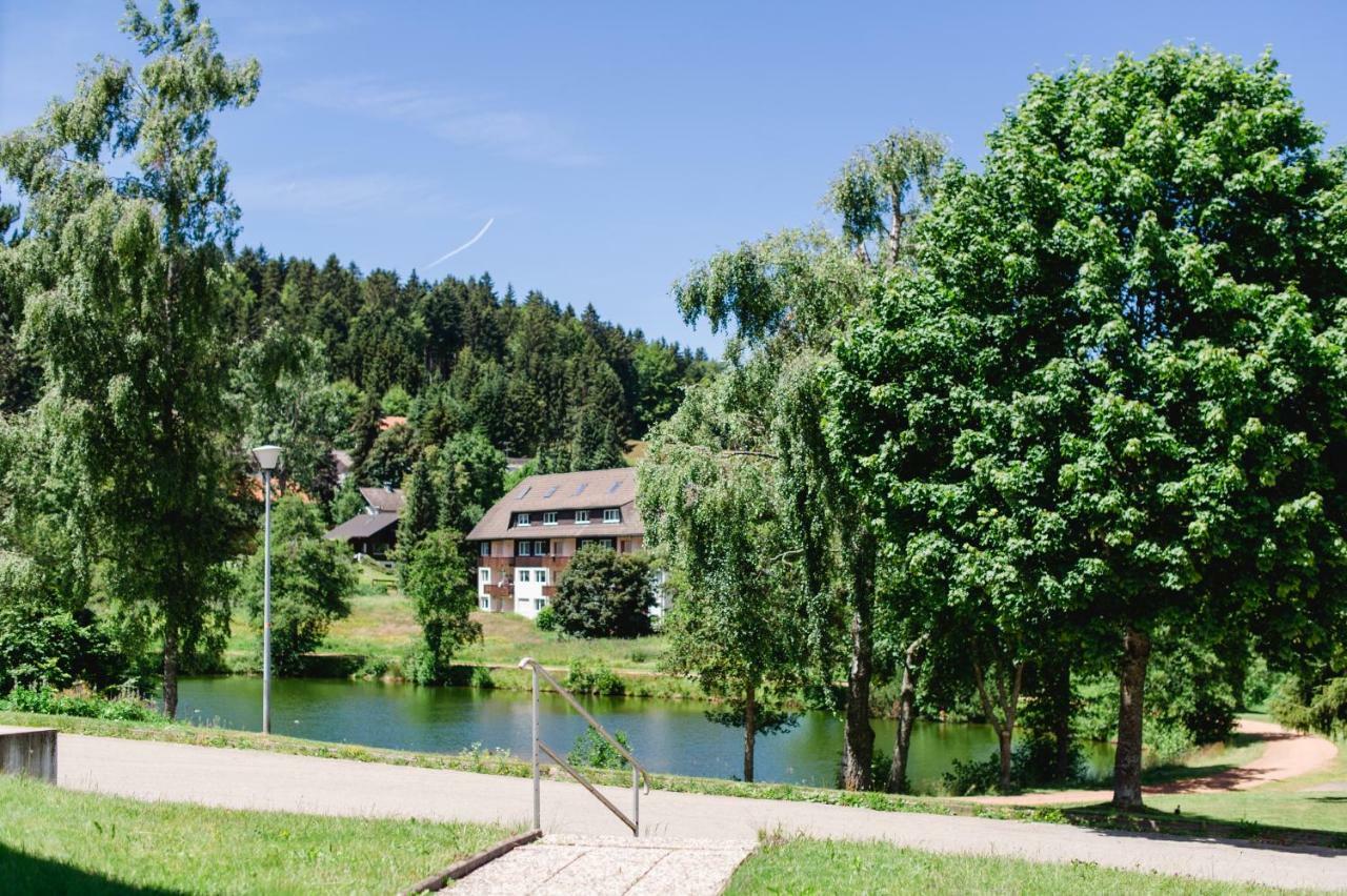 Ferienwohnungen Am Skilift Herrischried エクステリア 写真