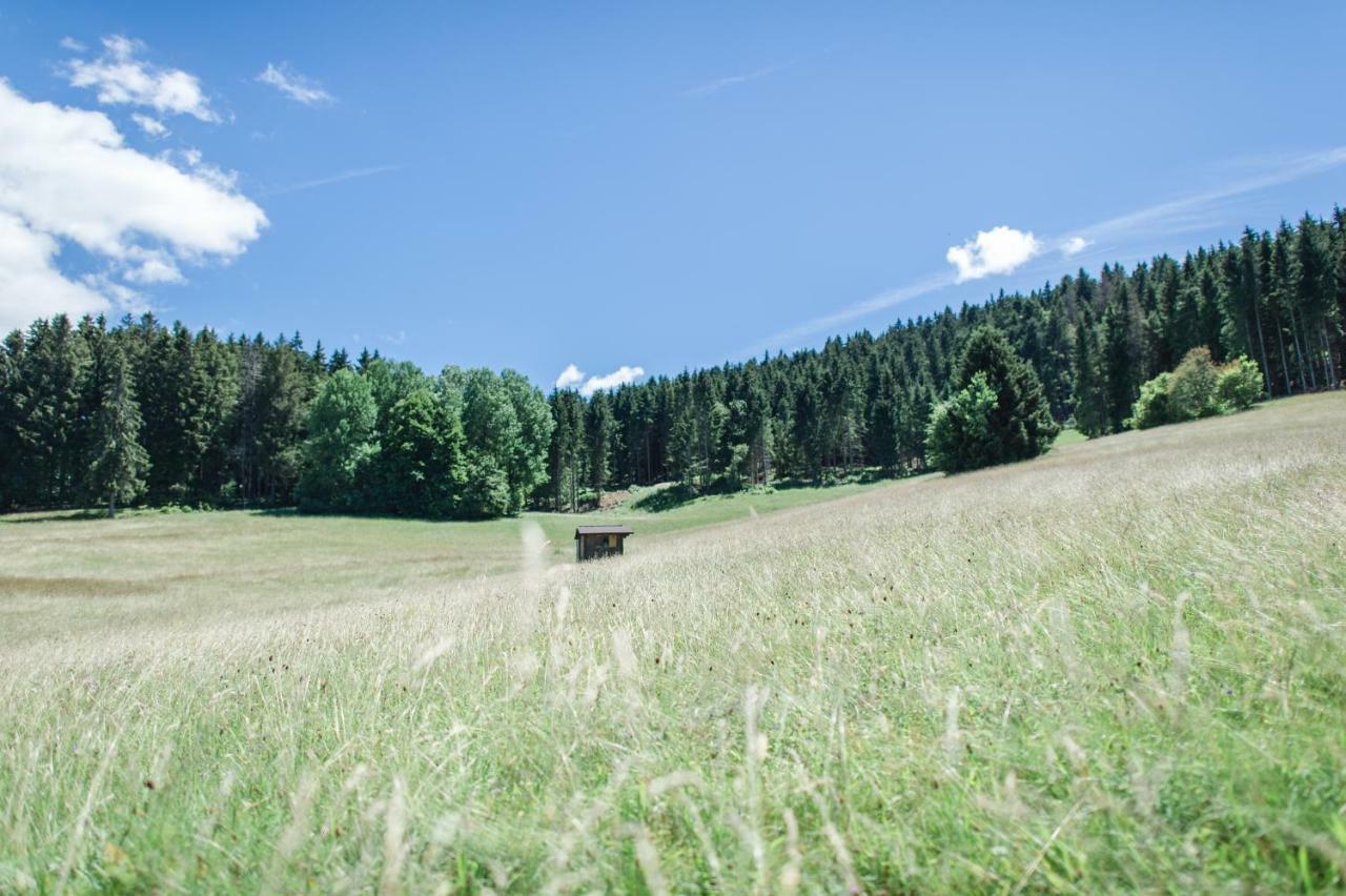 Ferienwohnungen Am Skilift Herrischried エクステリア 写真
