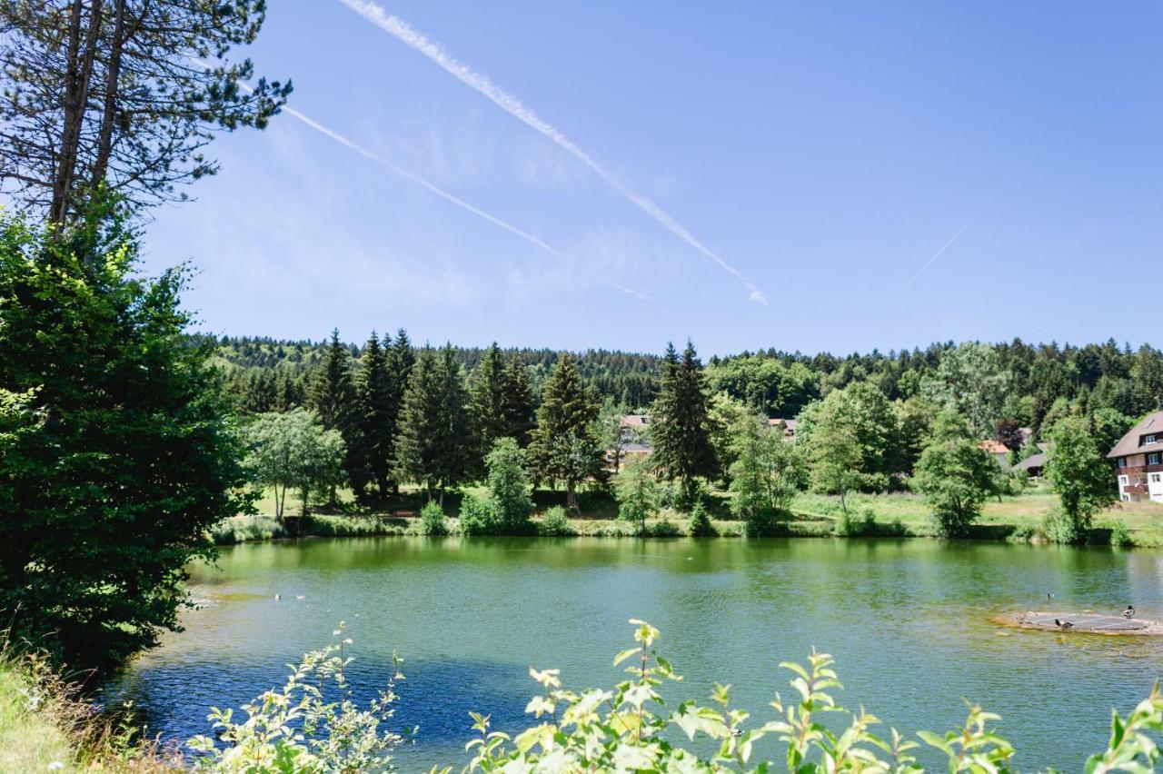 Ferienwohnungen Am Skilift Herrischried エクステリア 写真