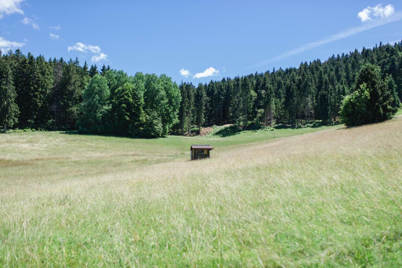 Ferienwohnungen Am Skilift Herrischried エクステリア 写真