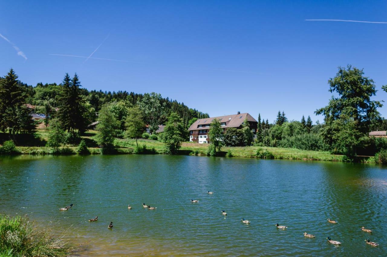 Ferienwohnungen Am Skilift Herrischried エクステリア 写真