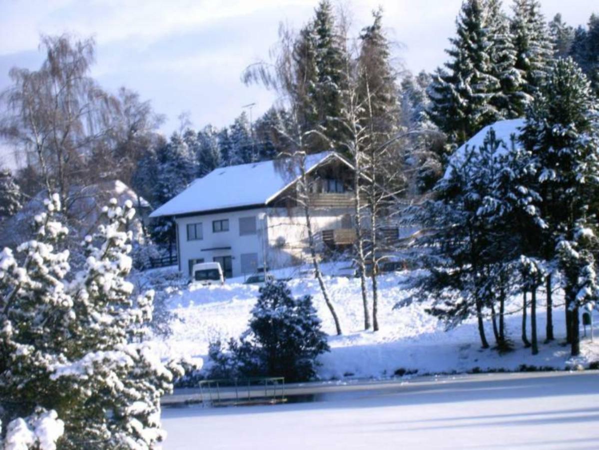Ferienwohnungen Am Skilift Herrischried エクステリア 写真